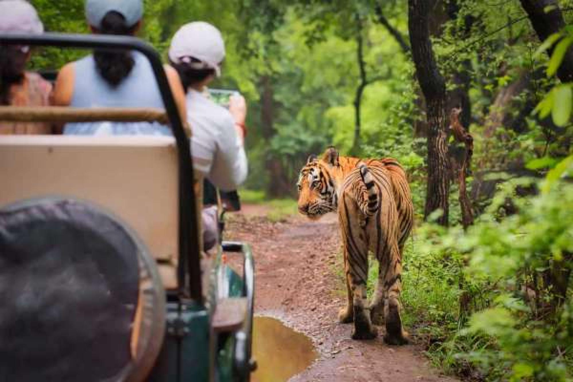 Golden Triangle with Kanha and Bandhavgarh